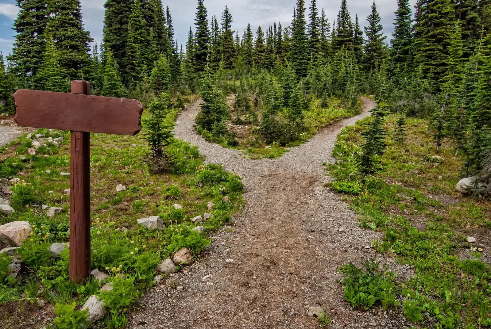 Fork in a trail with a signpost